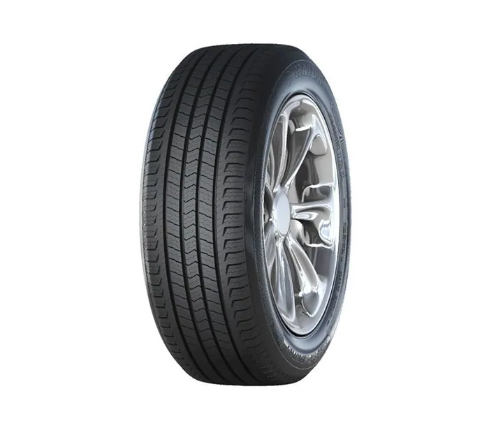 Delinte DS2 225/70R16 tyre