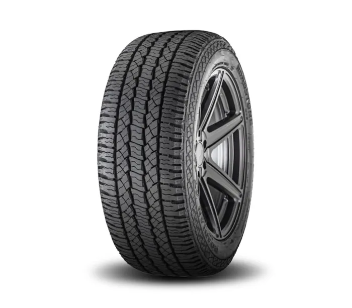 Roadstone Roadian A/T 245/65R17 tyre